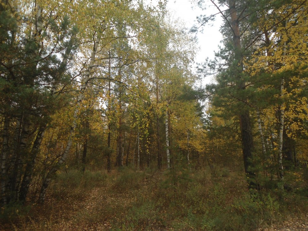 DSC00001.JPG