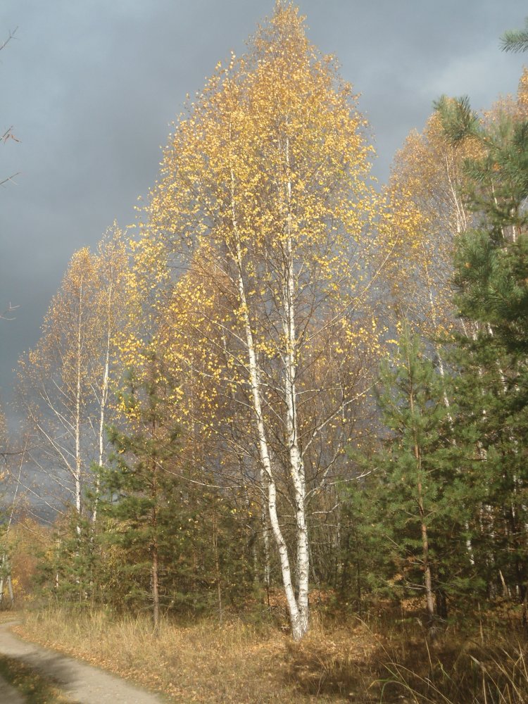 DSC00002.JPG