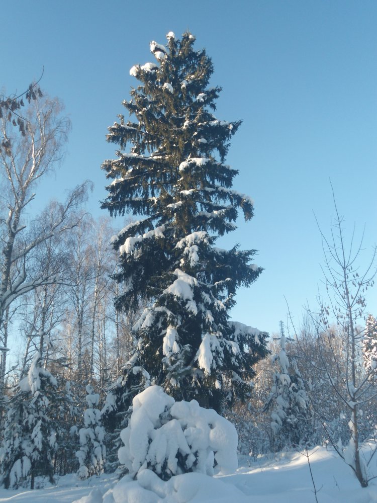 DSC00002.JPG