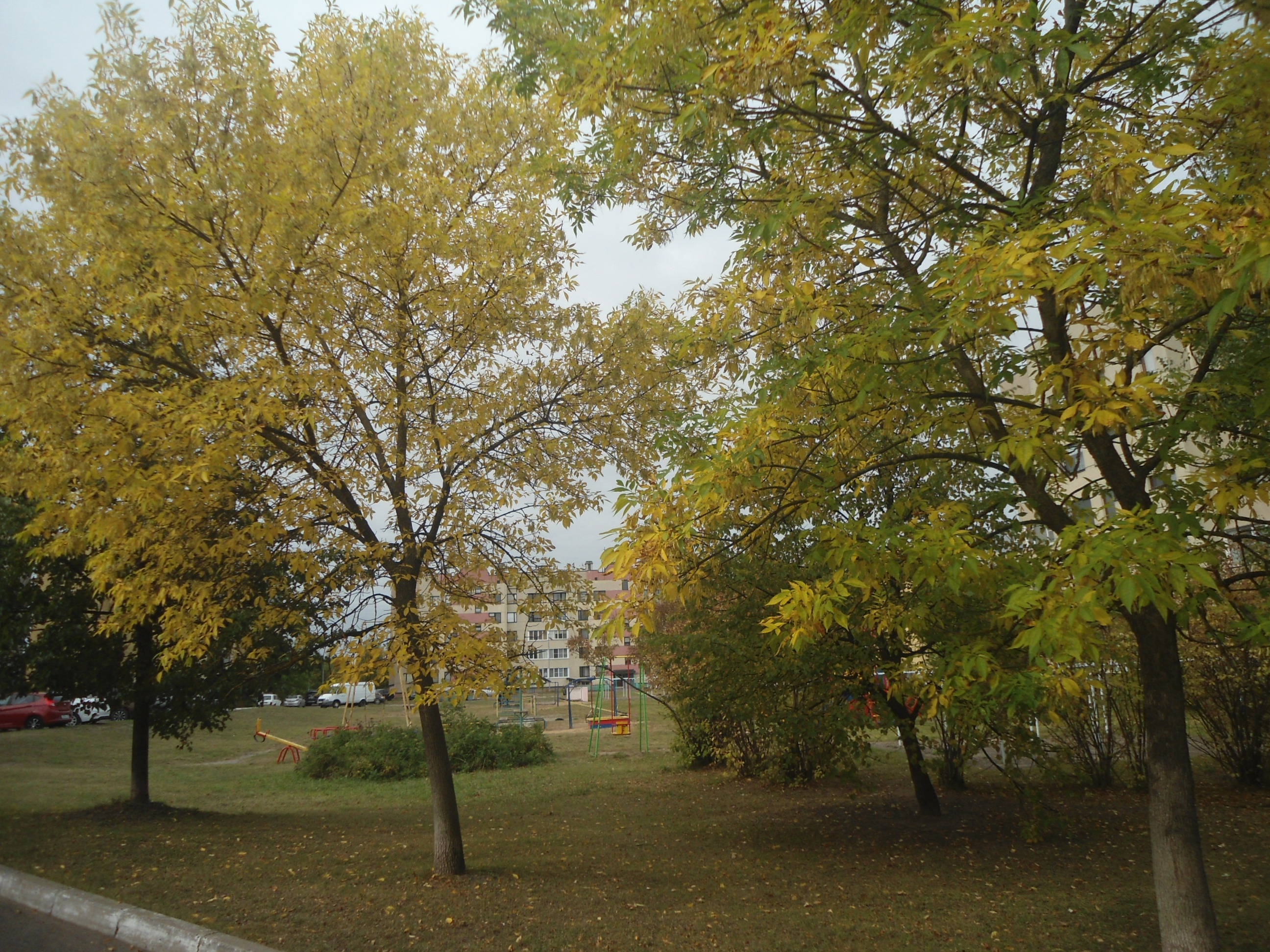 DSC00005.JPG