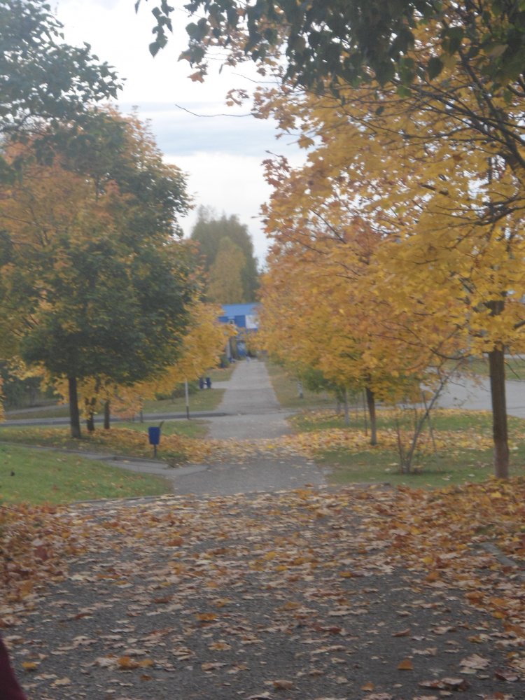 DSC00005.JPG