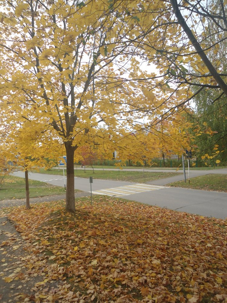 DSC00006.JPG