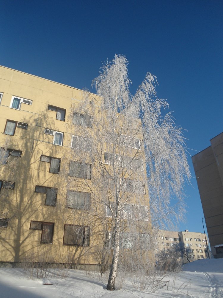 DSC00006.JPG