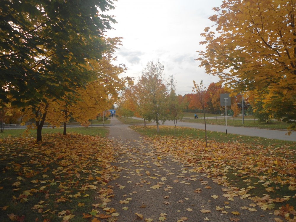 DSC00008.JPG
