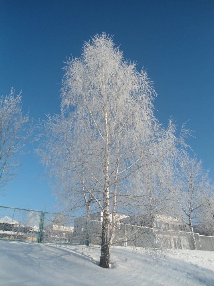 DSC00010.JPG