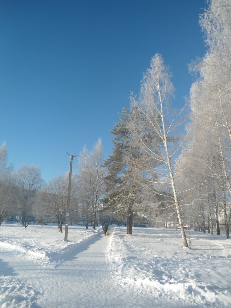 DSC00012.JPG