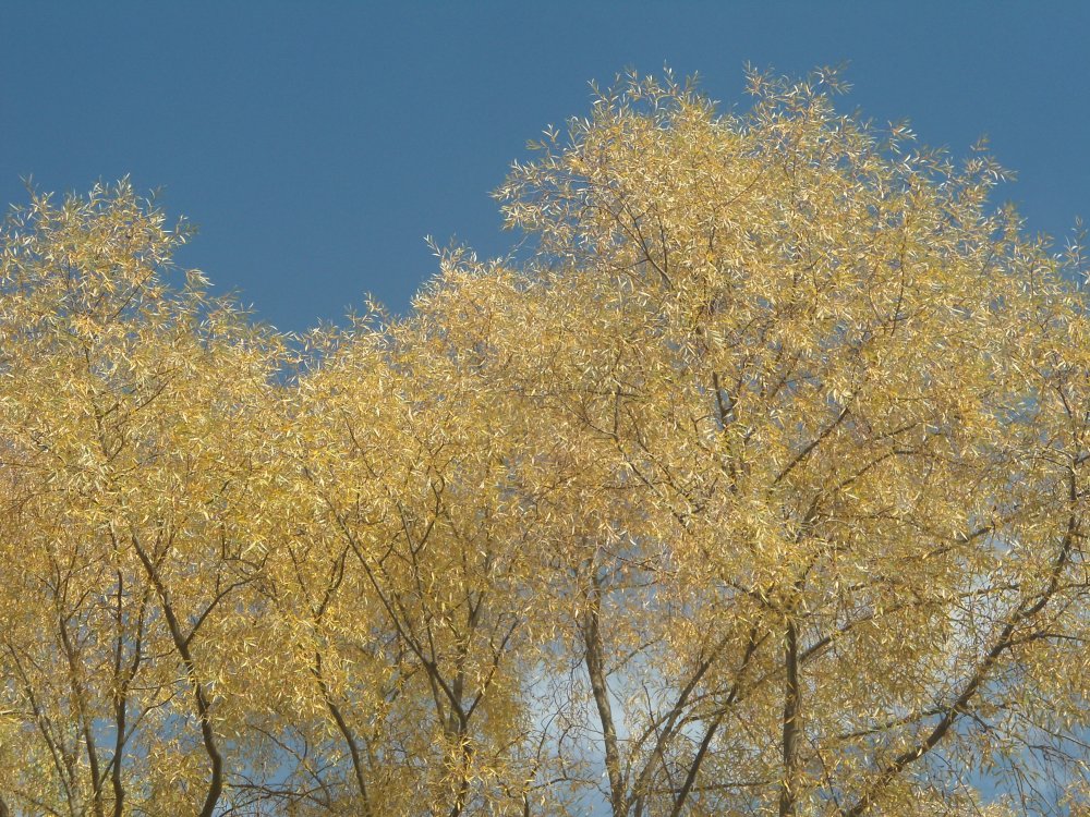 DSC00014.JPG