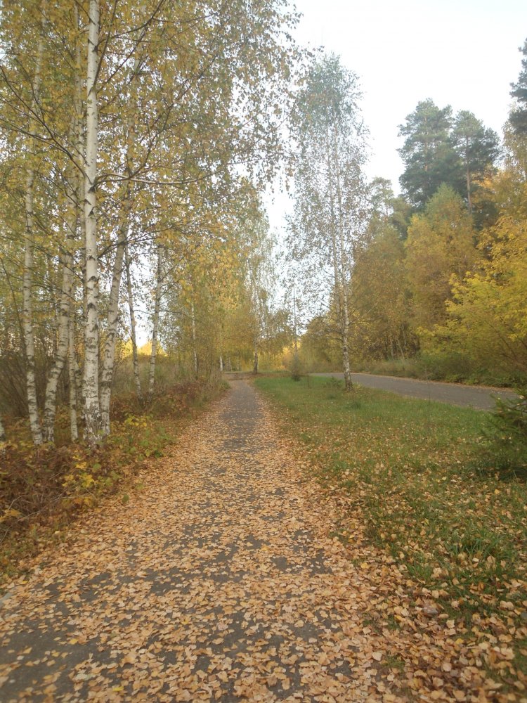 DSC00015 (2).JPG
