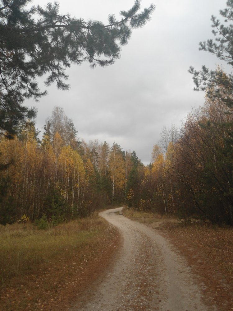 DSC00015.JPG