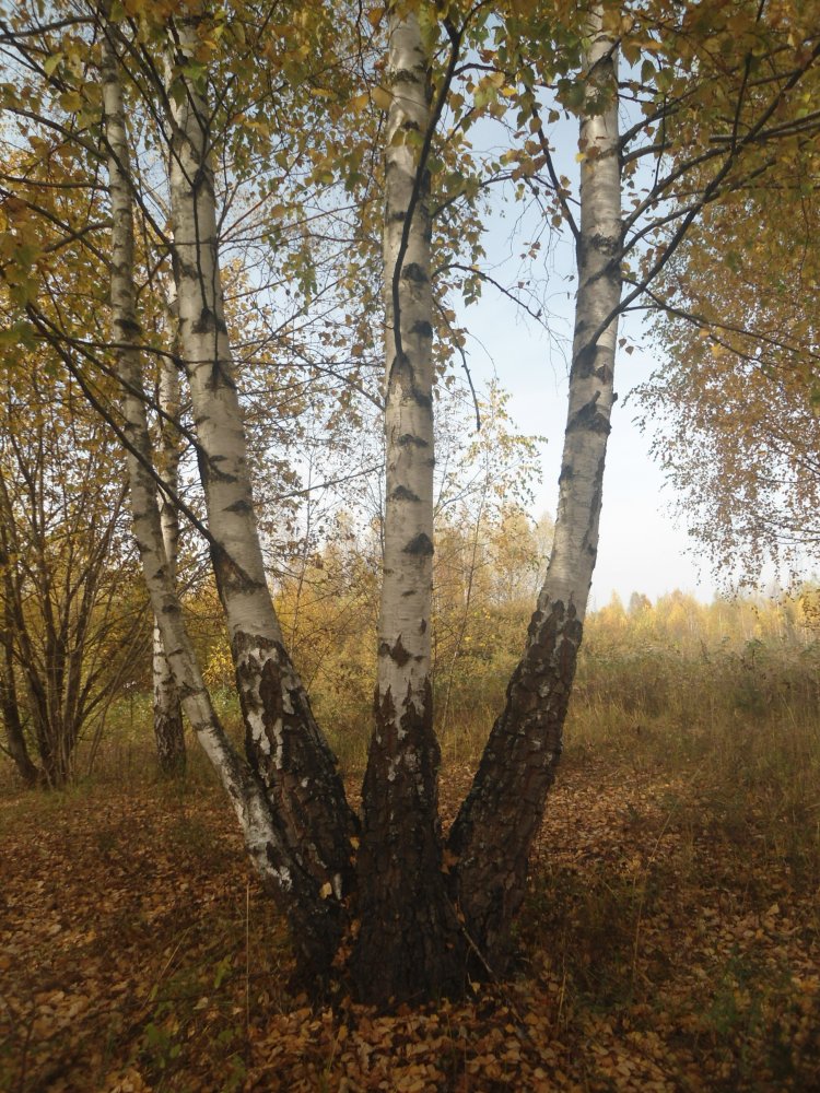 DSC00017.JPG