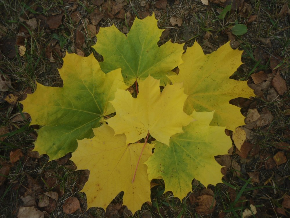 DSC00018.JPG