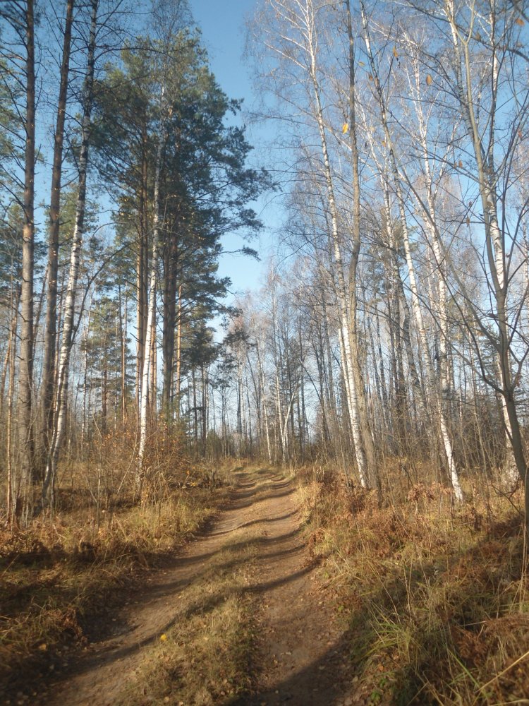 DSC00020.JPG