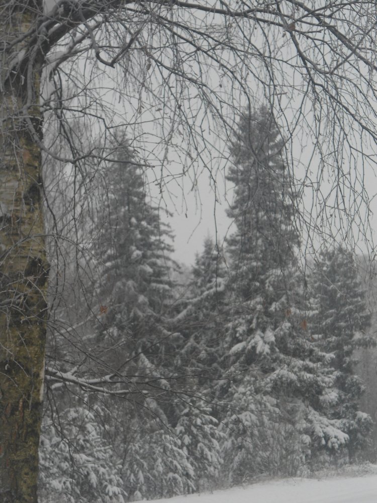 DSC00020.JPG