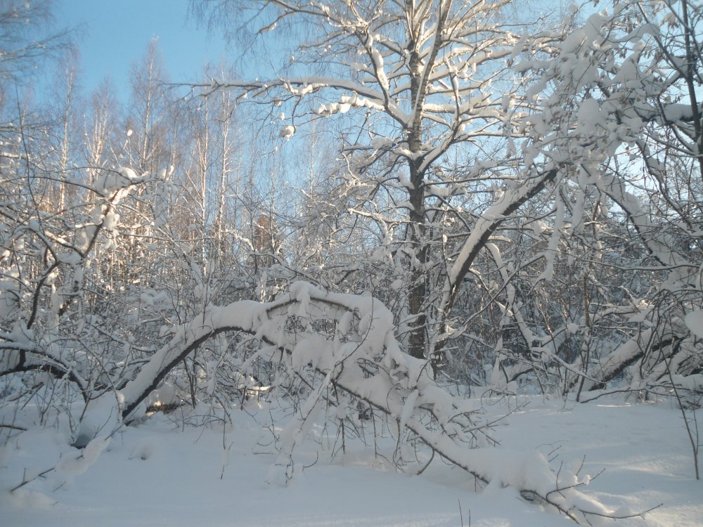 DSC00020.JPG