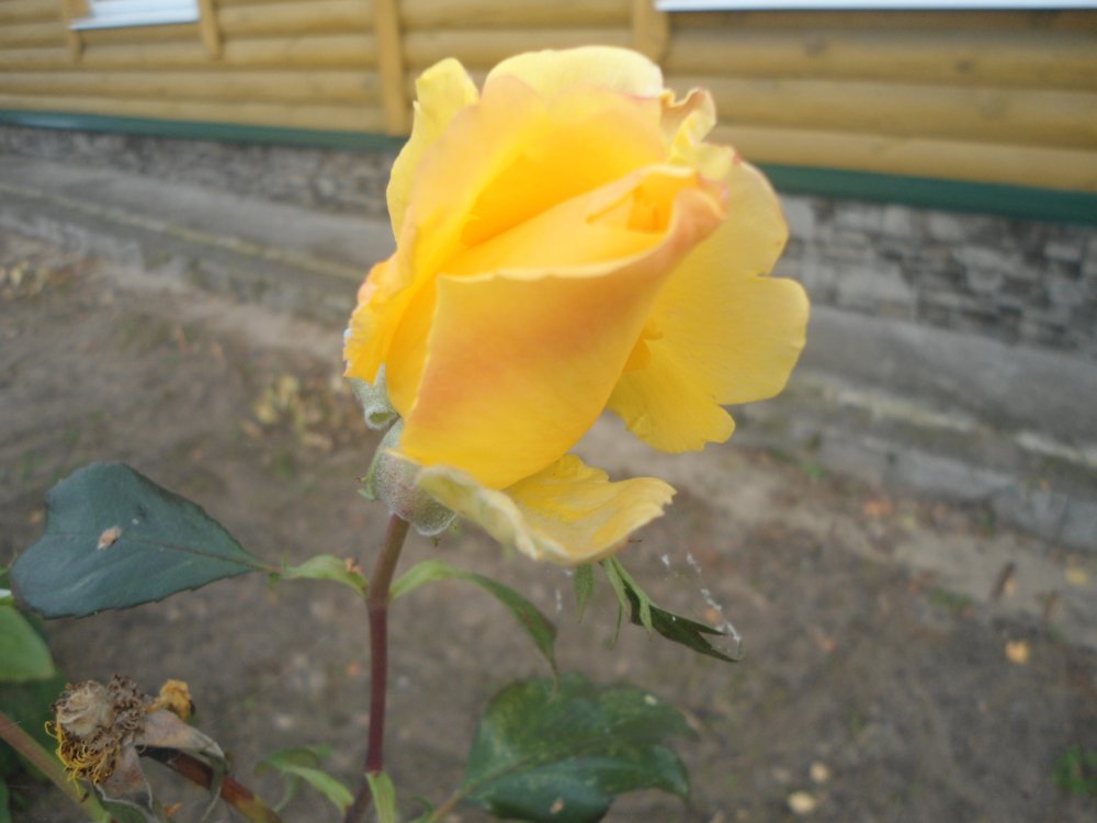 DSC00021.JPG