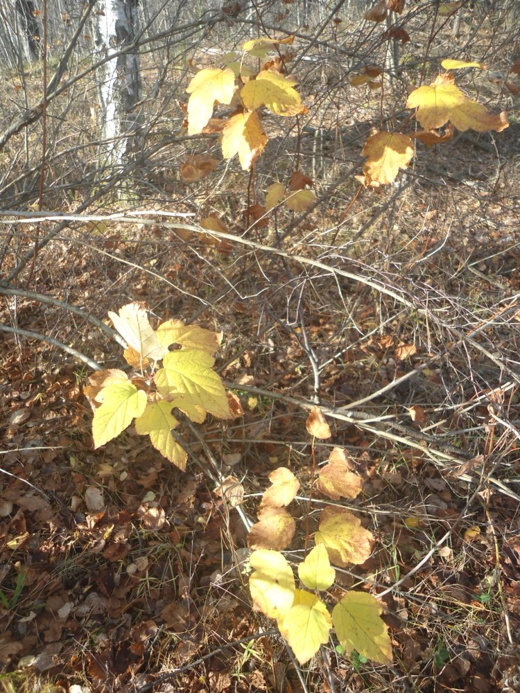DSC00021.JPG