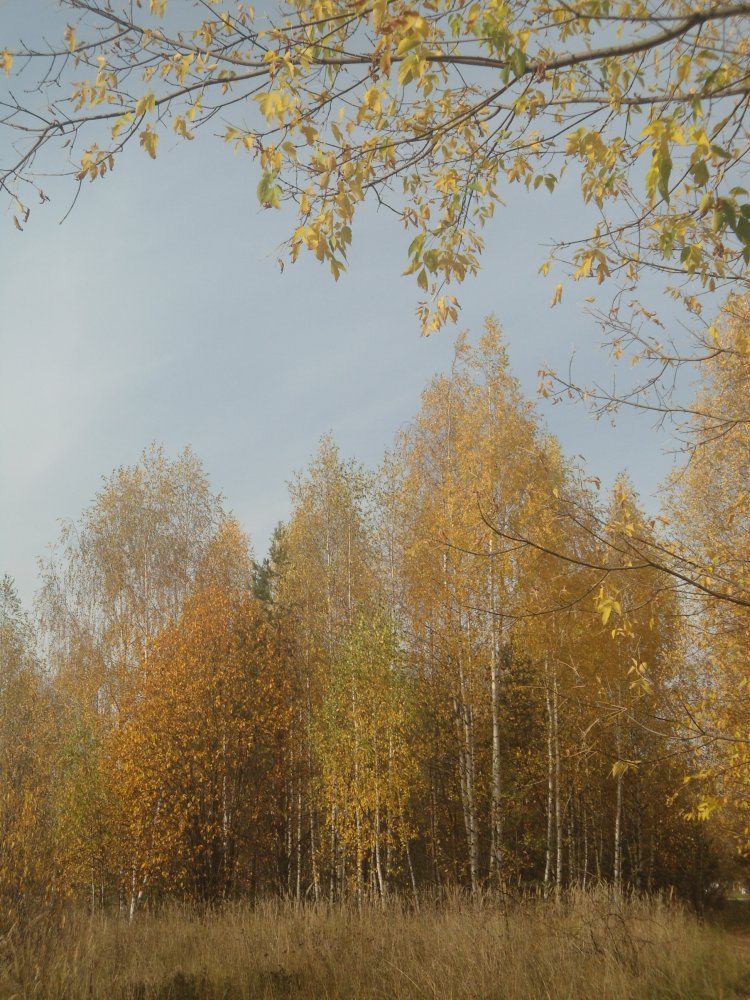 DSC00022.JPG
