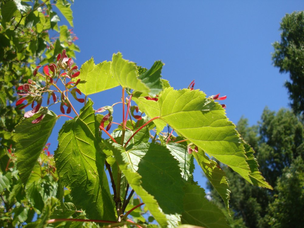 DSC00024.JPG