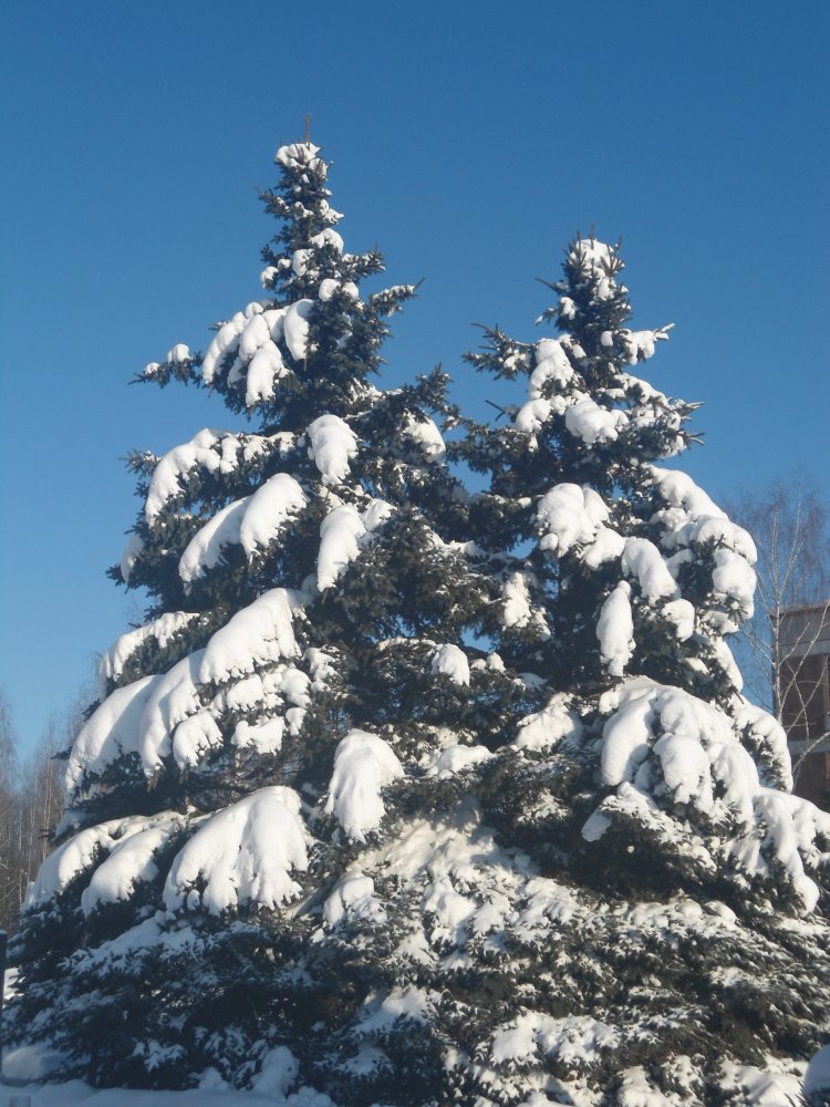 DSC00025.JPG