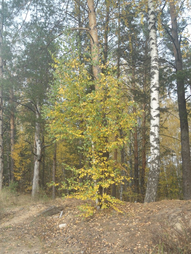 DSC00031.JPG