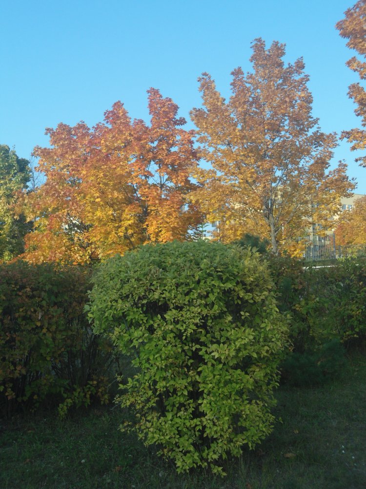 DSC00034.JPG