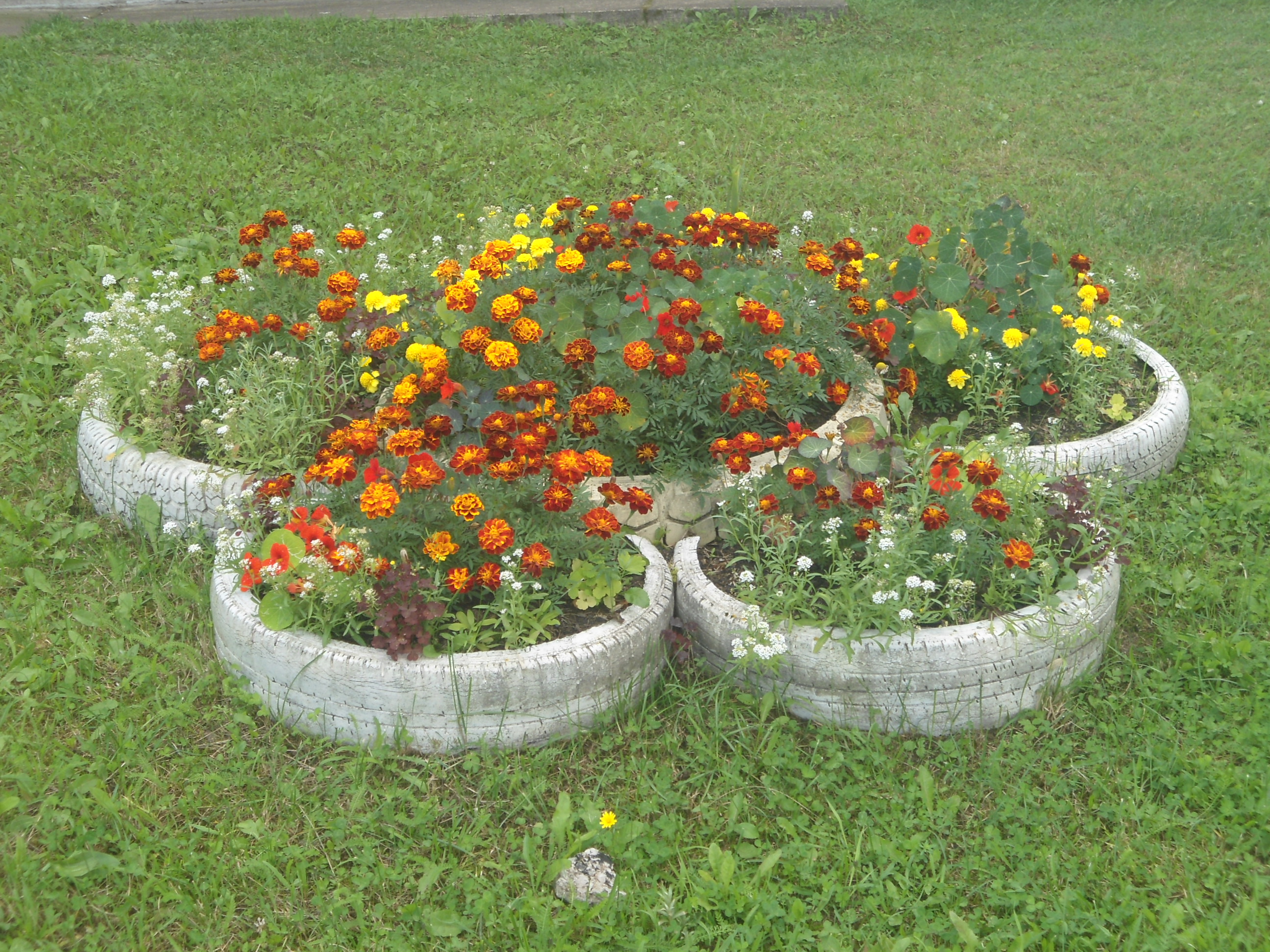 DSC00035.JPG