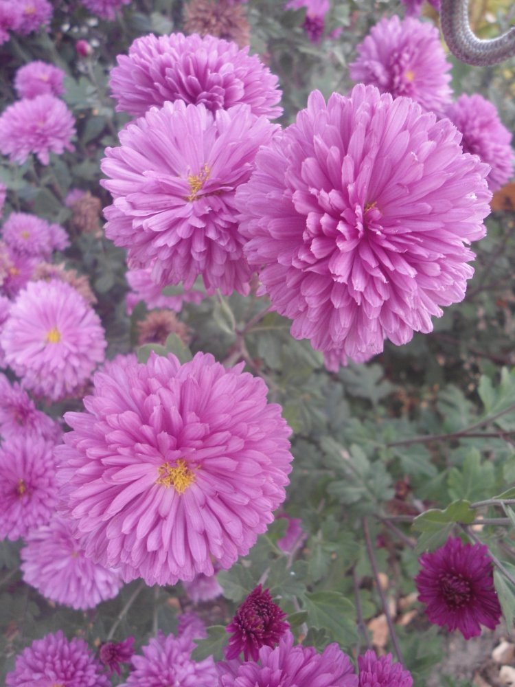 DSC00035.JPG