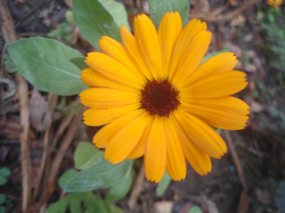 DSC00036.JPG