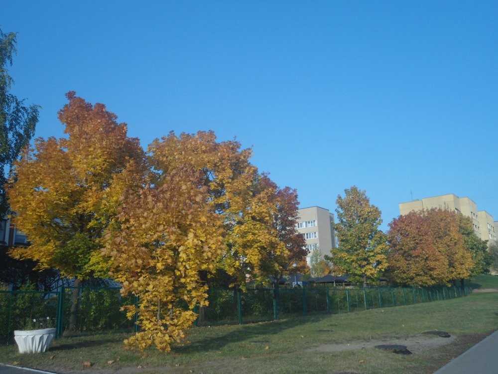 DSC00037.JPG
