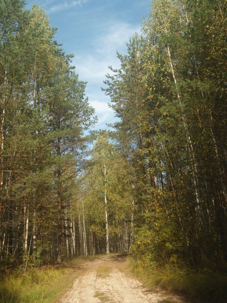 DSC00041.JPG