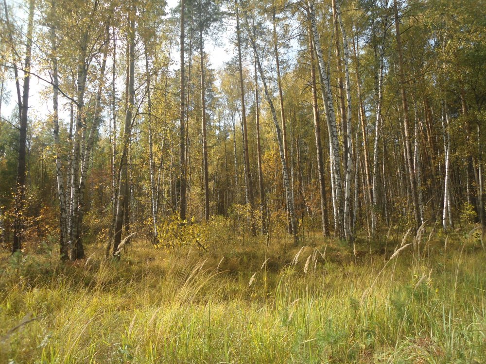 DSC00047.JPG