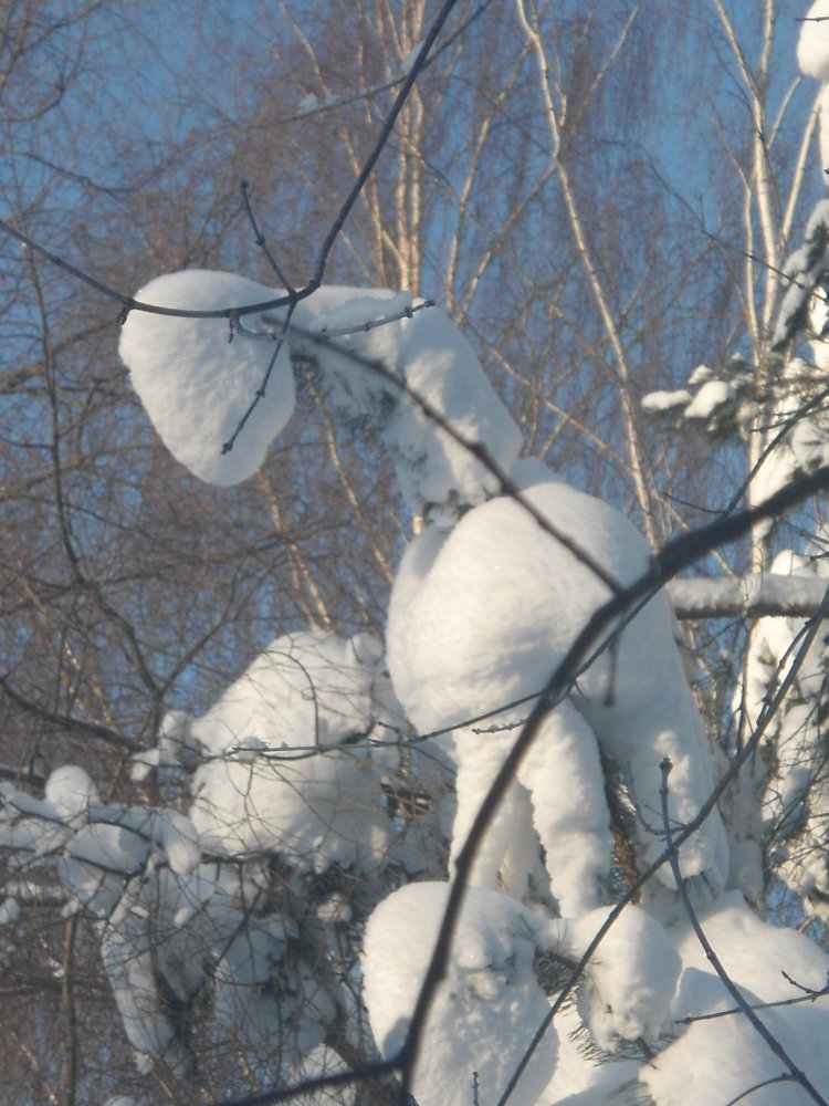 DSC00051.JPG