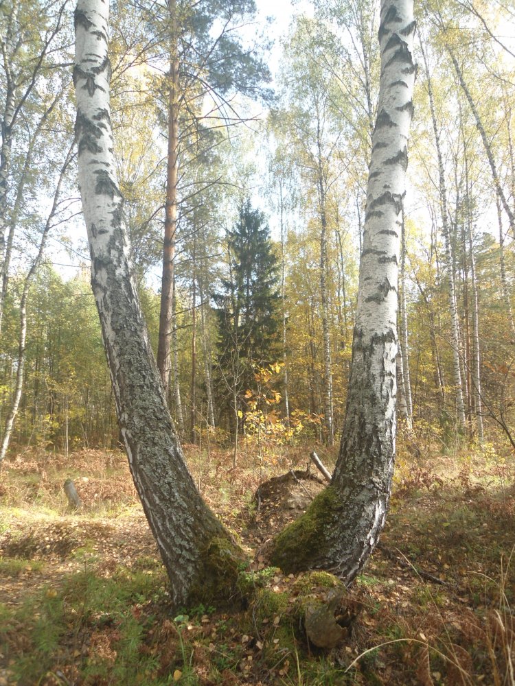 DSC00056.JPG