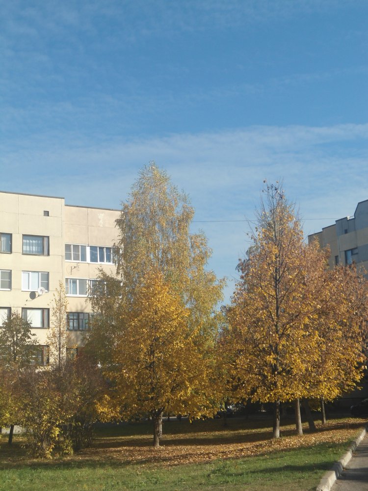 DSC00064.JPG