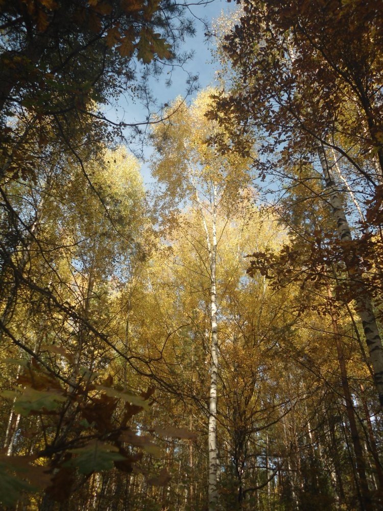 DSC00067.JPG