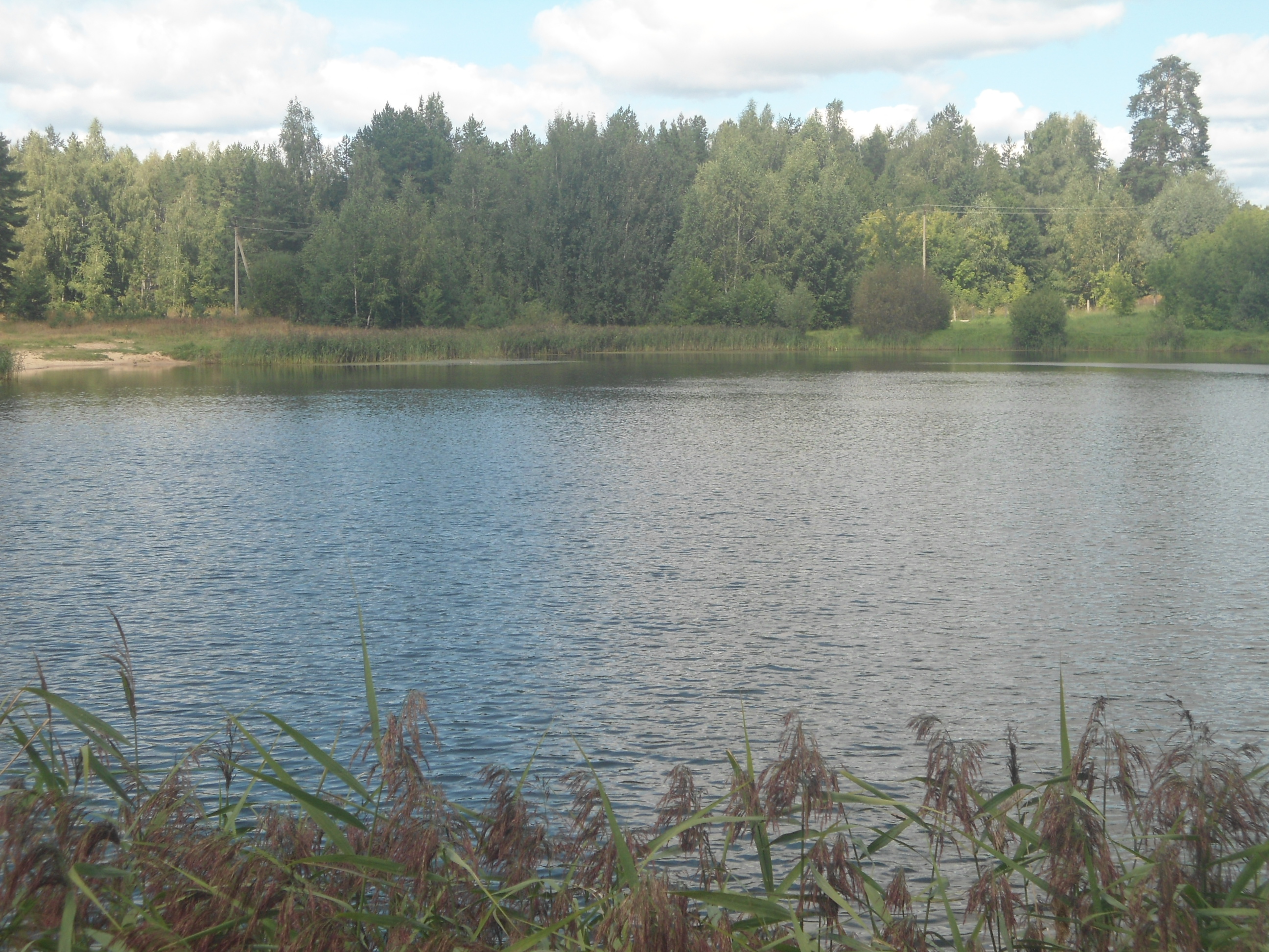 DSC00071.JPG