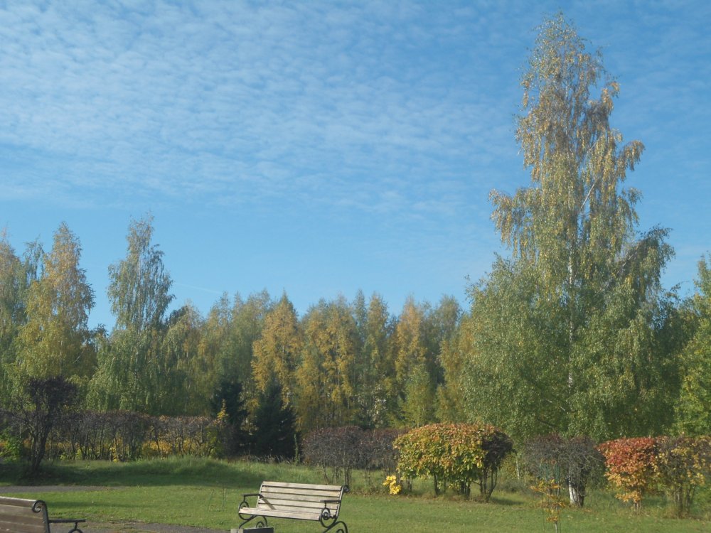 DSC00081.JPG
