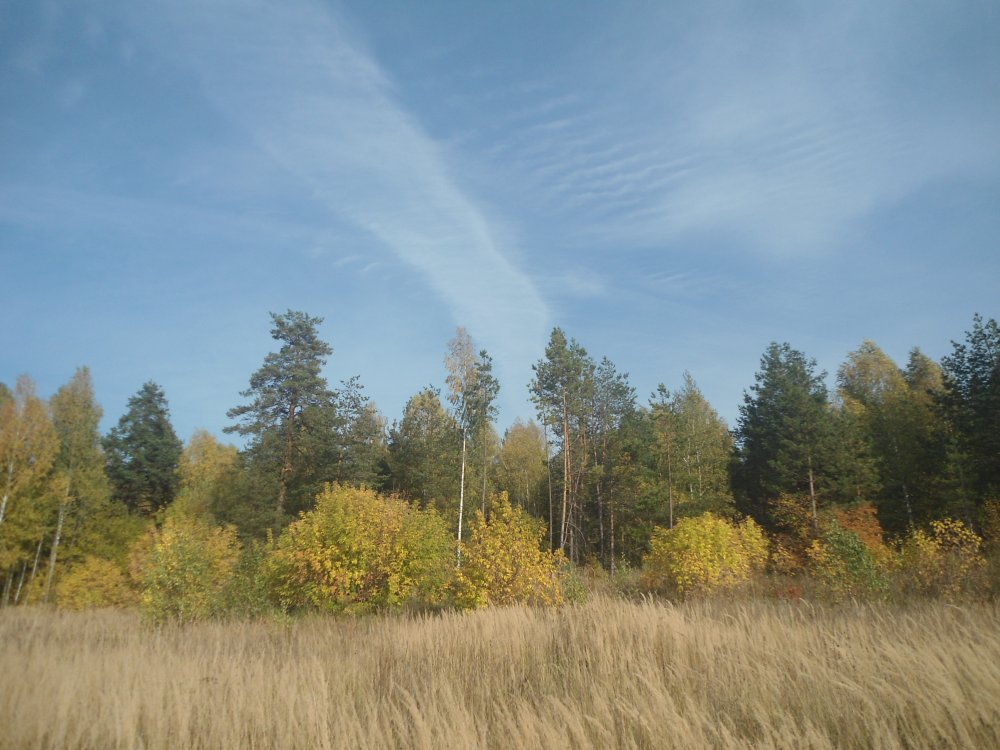 DSC00097.JPG
