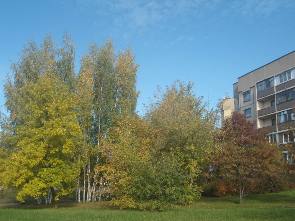 DSC00098.JPG