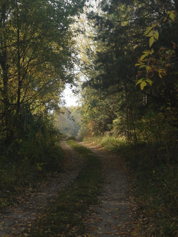 DSC00100.JPG