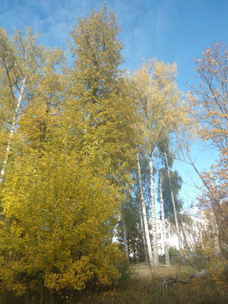 DSC00103.JPG