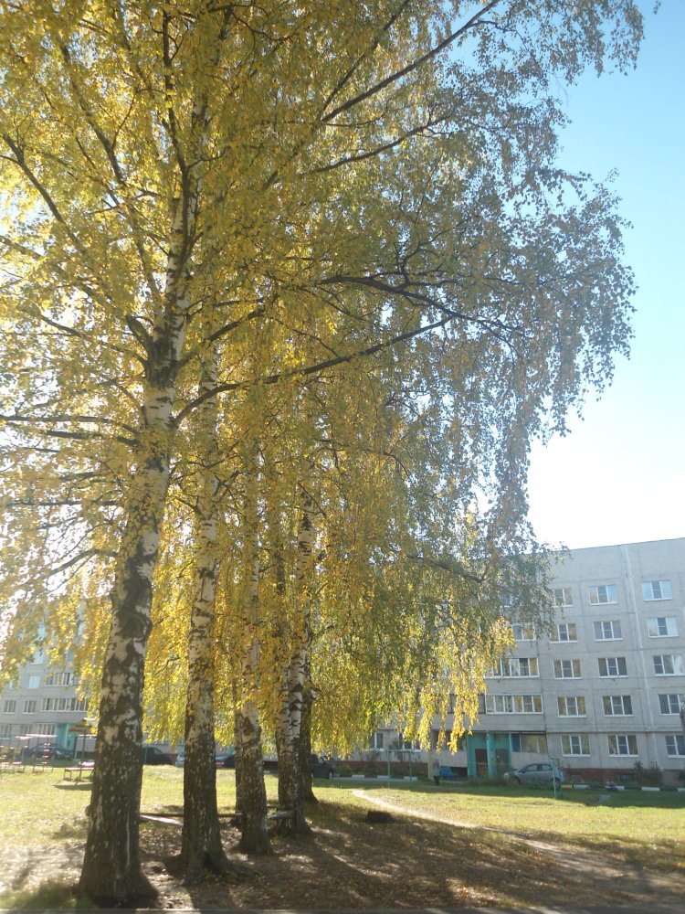 DSC00114.JPG