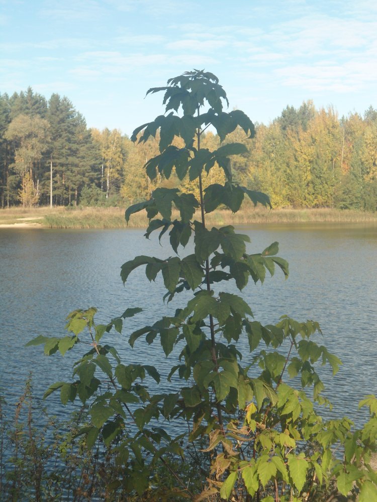 DSC00120.JPG