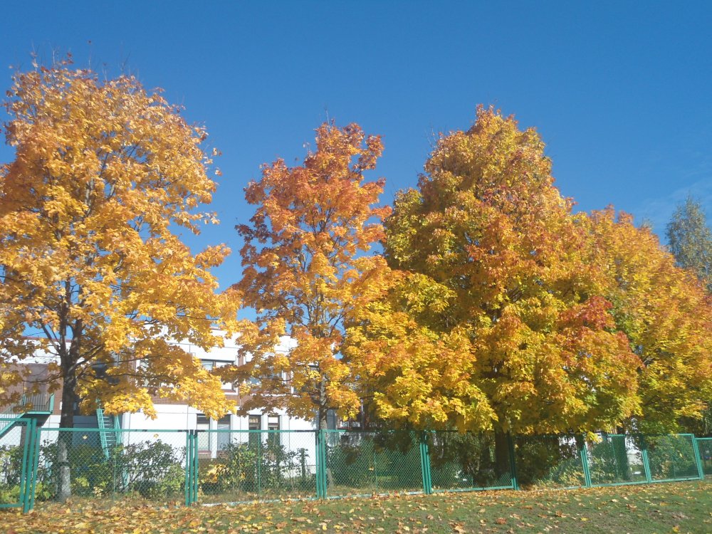 DSC00133.JPG