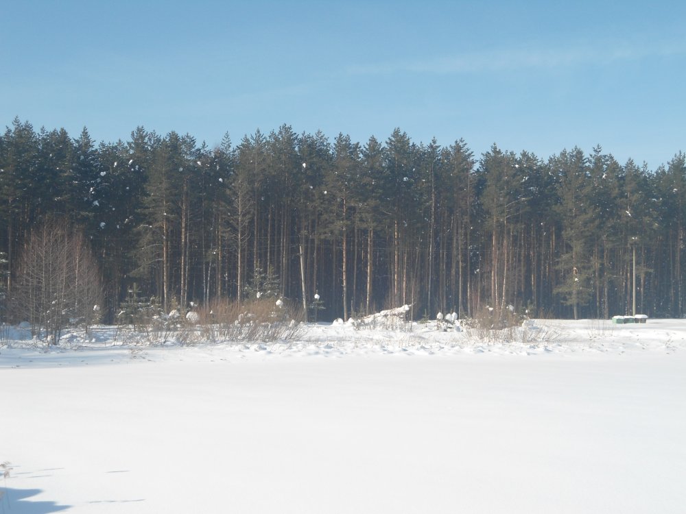 DSC00142.JPG