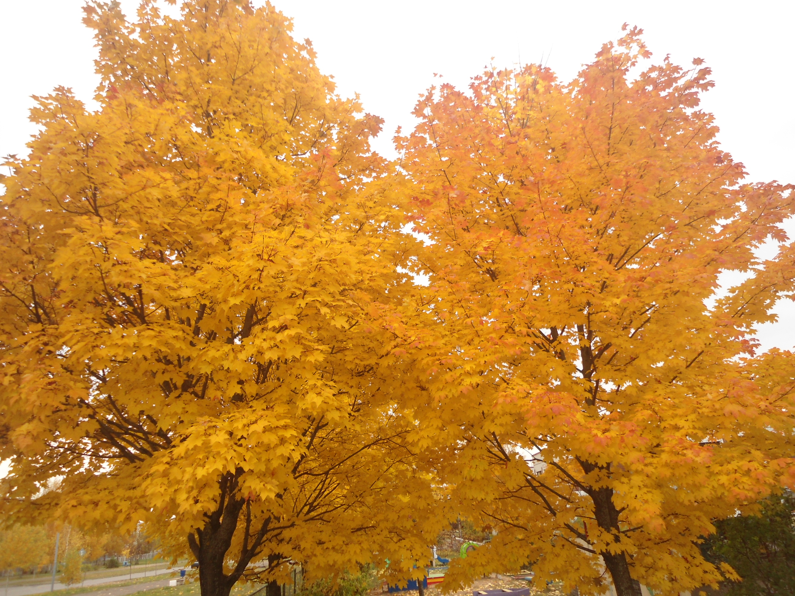 DSC00144.JPG