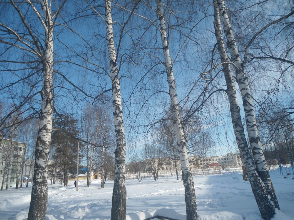 DSC00148.JPG