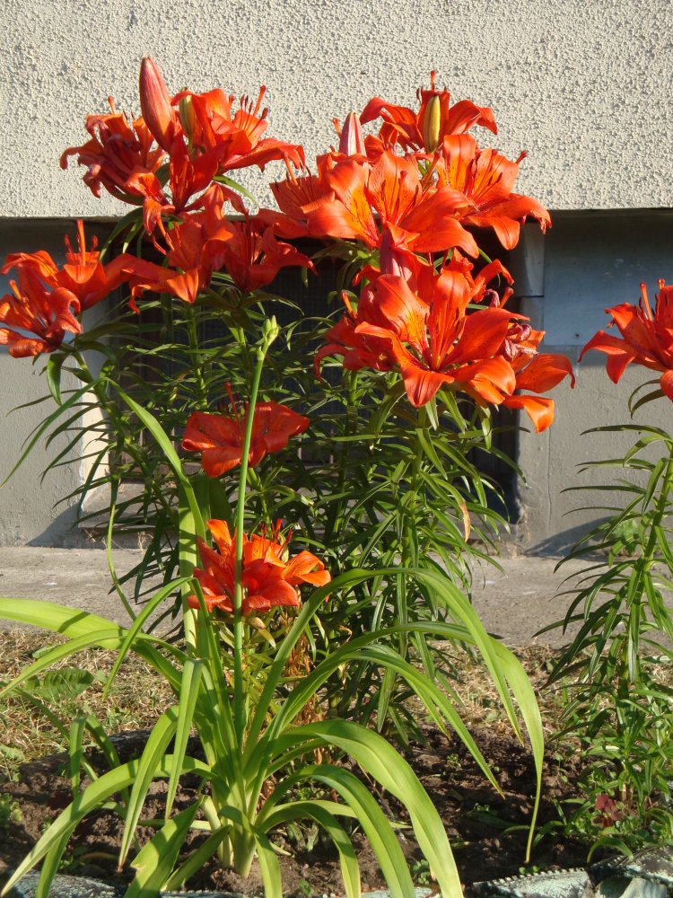 DSC00173.JPG