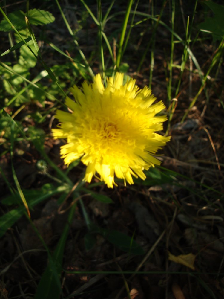 DSC00180.JPG