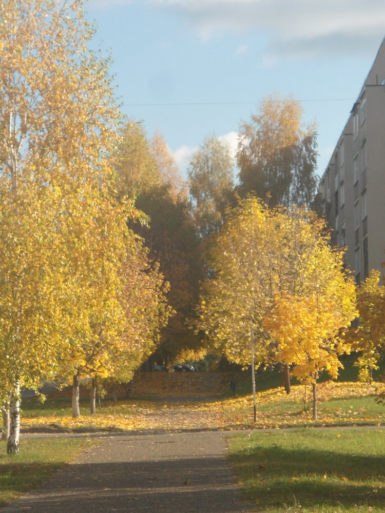 DSC00183.JPG